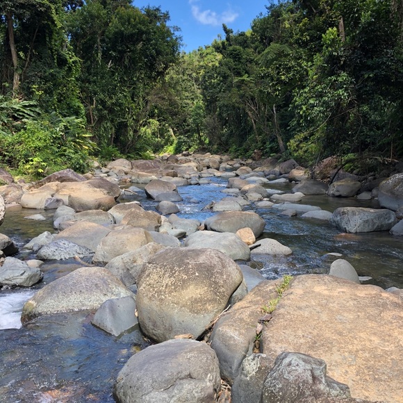 Meet your Posher, Chris - Picture 1 of 1